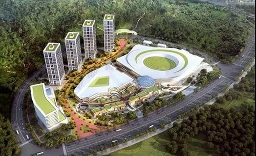 武漢躋身全球二線城市 運(yùn)動(dòng)項(xiàng)目經(jīng)營(yíng)迎來新機(jī)遇